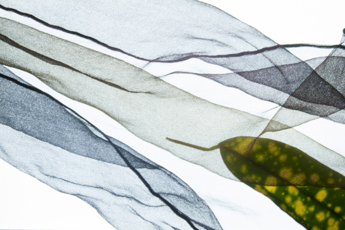 Leaf and cloth continue leaving the frame