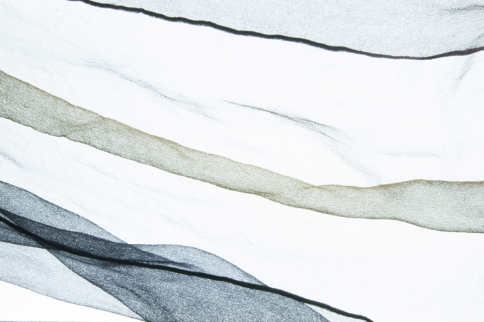 Leaf has left the frame, folds on cloth are still visible