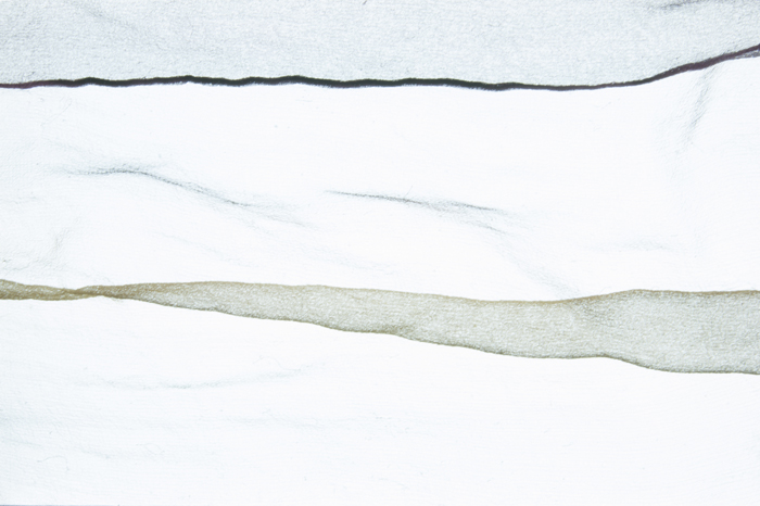 Leaf has left the frame, fewer folds on cloth are visible