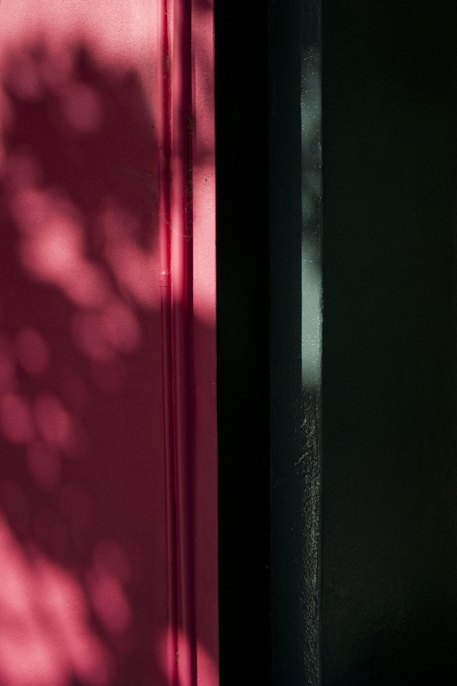Light filtered through leaves, on a pink and indigo wall