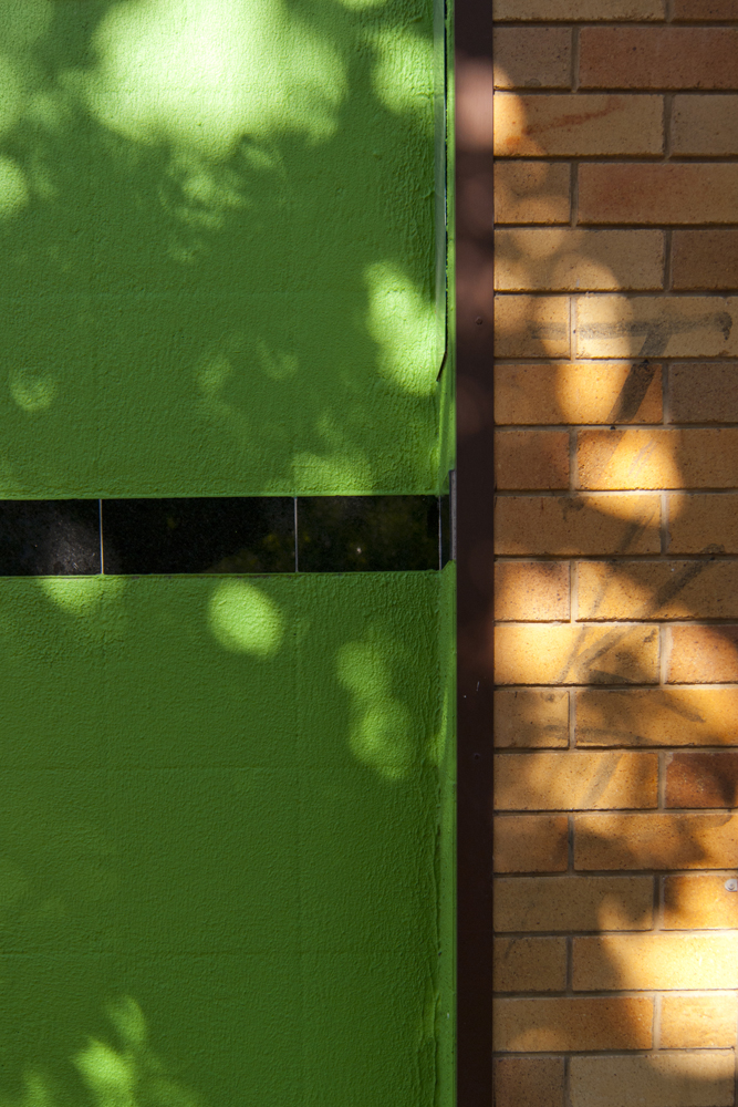 Light filtered through leaves on a brick wall