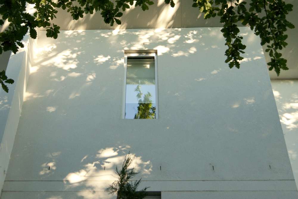 Shadow of foliage on a white wall outside of a one-storey apartment