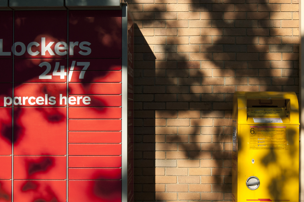 Shadow of foliage on a brick wall